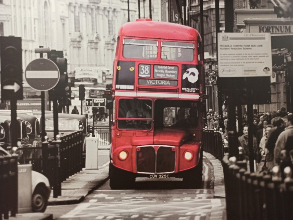 quadre d'un bus vermell a londres